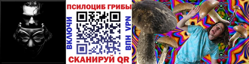 Псилоцибиновые грибы Cubensis Каргополь