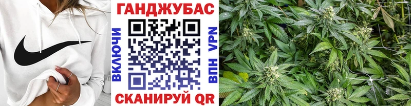 Конопля Amnesia  mega сайт  Каргополь 